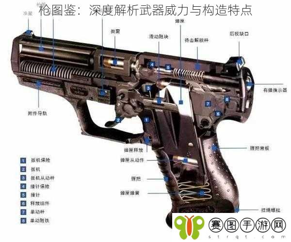 枪图鉴：深度解析武器威力与构造特点