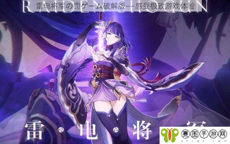 雷电将军の罚ゲーム破解版——感受极致游戏体验