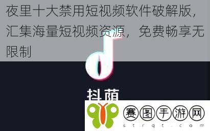 夜里十大禁用短视频软件破解版，汇集海量短视频资源，免费畅享无限制