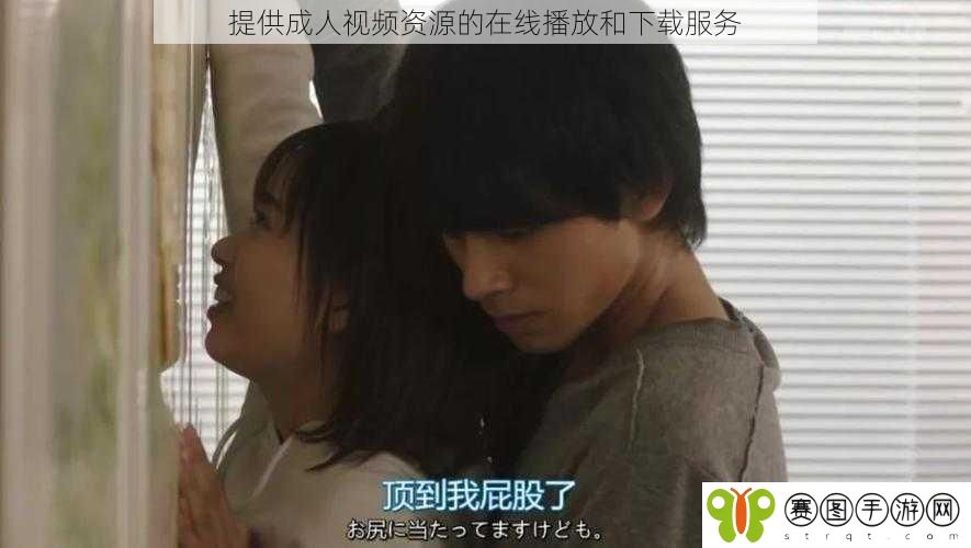 提供成人视频资源的在线播放和下载服务
