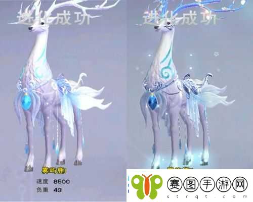 创造与魔法