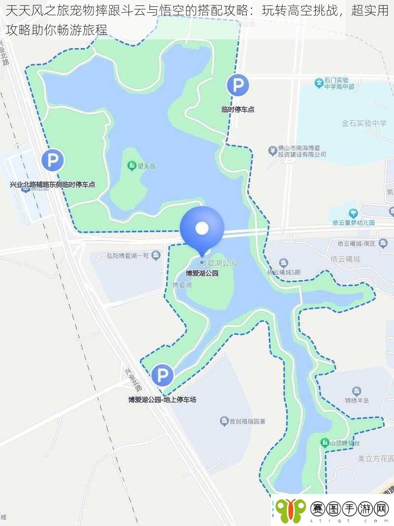 天天风之旅宠物摔跟斗云与悟空的搭配攻略
