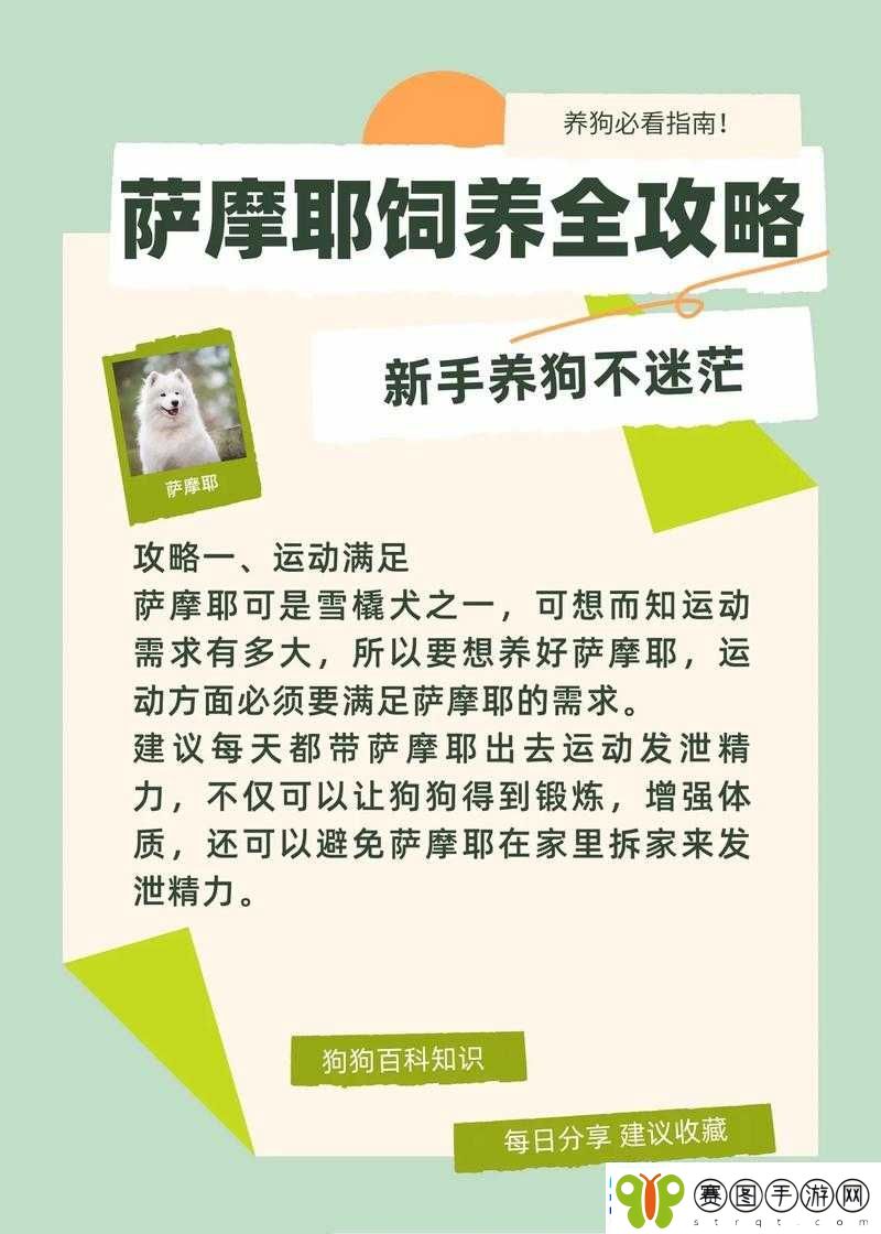 射雕英雄传手游新手必知押镖实用技巧全指南
