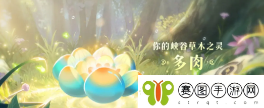 王者荣耀9周年庆数据回顾解锁植物介绍