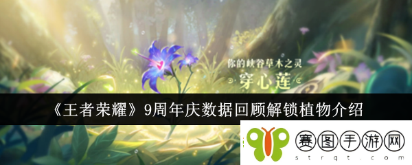 王者荣耀9周年庆数据回顾解锁植物介绍