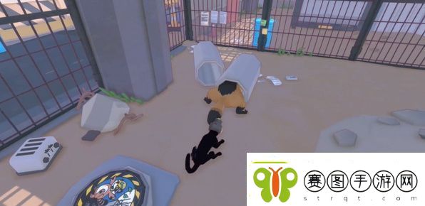 小猫咪大城市浣熊任务怎么做