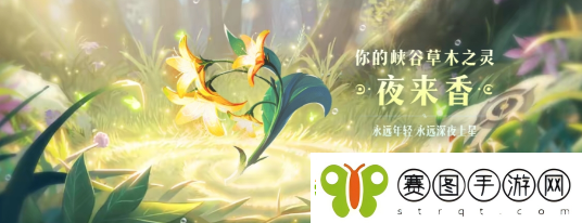 王者荣耀9周年庆数据回顾解锁植物介绍