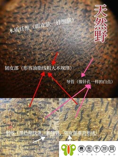 火影忍者手游新手攻略