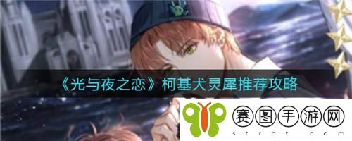 光与夜之恋柯基犬灵犀怎么推荐 光与夜之恋柯基犬灵犀推荐攻略