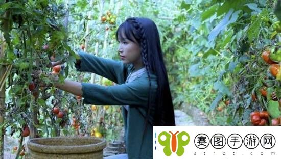 微念称与李子柒的案件已完全和解