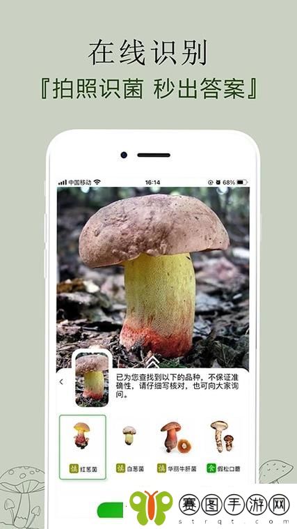 安全蘑菇app