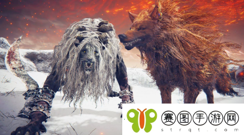 艾尔登法环dlc吸血破露滴怎么获取