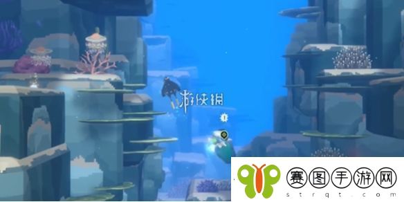 潜水员戴夫鹦嘴鱼怎么抓