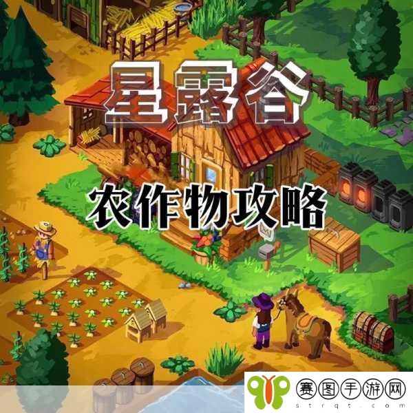 星露谷物语深度揭秘,玛鲁的珍爱之选与独特喜好