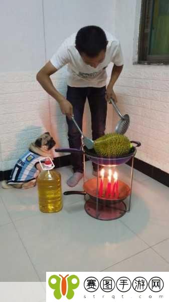 豆奶富二代榴莲草莓丝瓜,1. 榴莲草莓与豆奶富二代的奇妙碰撞