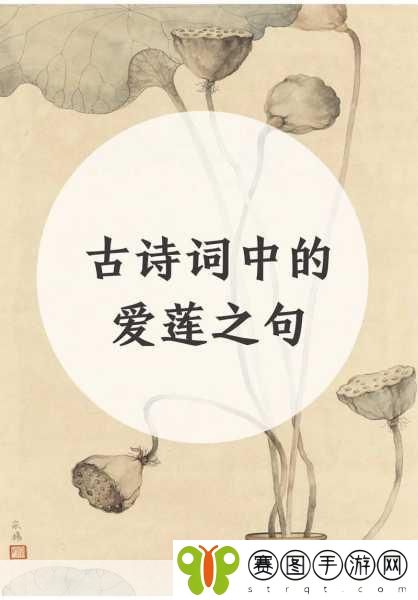 两瓣红莲今夜开一池碧水盼君浴诗词,1. 红莲映碧水,君临浴醉梦