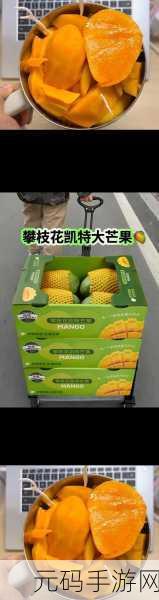 芒果精产国品一二三产区区别,芒果精产国不同区域的特色与品质解析