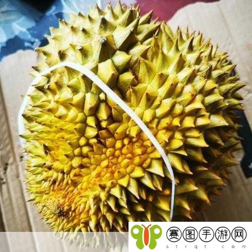 ll999榴莲让你流连忘返,1. 榴莲的魅力:让你流连忘返的美味世界