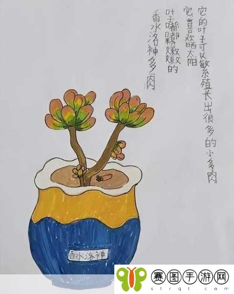 1V3多肉玉娇香HHHH口术,1. 多肉植物爱好者必看:玉娇香的种植秘籍