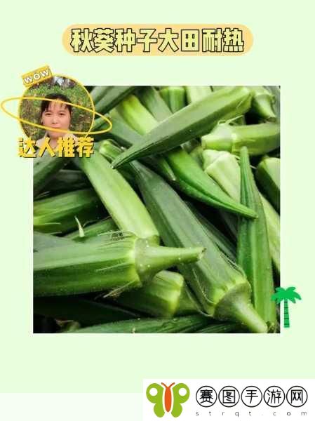 榴莲黄瓜草莓秋葵茄子污版,1. 榴莲与黄瓜的奇妙搭配:草莓秋葵茄子的美味探索