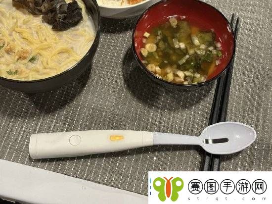 日本公司发明咸味勺子