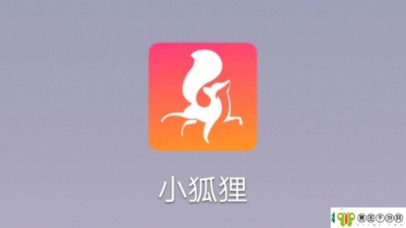 探索小狐狸直播址的精彩世界