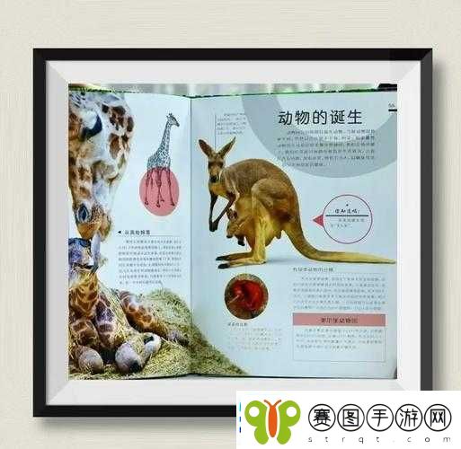 ZoomZookeeper