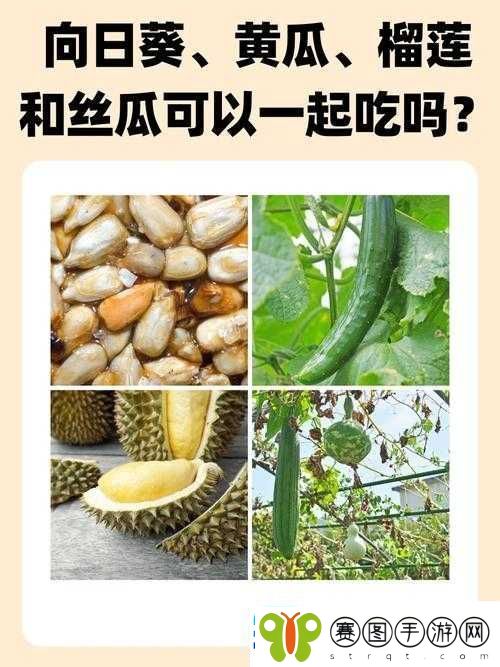 草莓丝瓜黄瓜向日葵榴莲