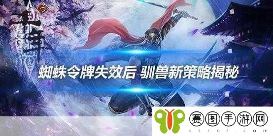 地下城与勇士一键换装教程,高效战斗策略揭秘