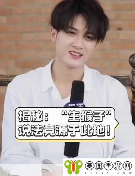 两人生猴子软件,1. 《两人共创猴子奇遇记:探险与合作的乐趣