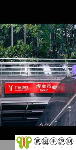 台湾仙踪林XZL,1. 探索台湾仙踪林的神秘魅力与自然奇观