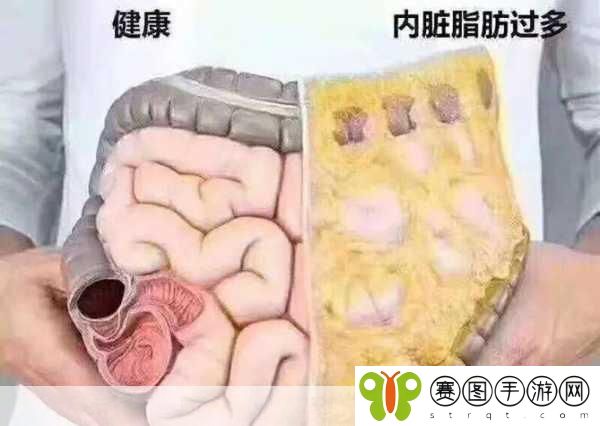 小肚子灌得鼓鼓,1. 小肚子鼓鼓的秘密:饮食与健康的关系