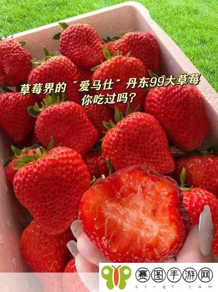 草莓榴莲向日葵18岁深夜释放,1. 《草莓与榴莲的奇妙夜晚探险