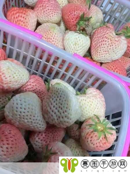 草莓榴莲向日葵18岁深夜释放,1. 《草莓与榴莲的奇妙夜晚探险