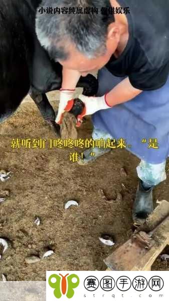 51cg10今日大瓜,1. 今日大瓜揭秘:51cg10背后的惊人故事