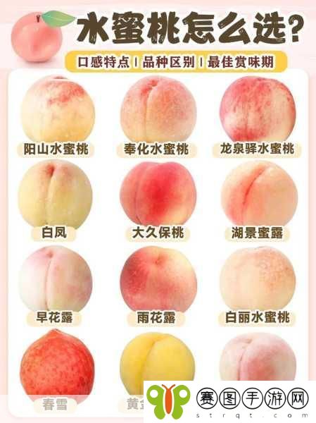 GTCARD2水蜜桃,1. GTCARD2水蜜桃:提升你的消费体验