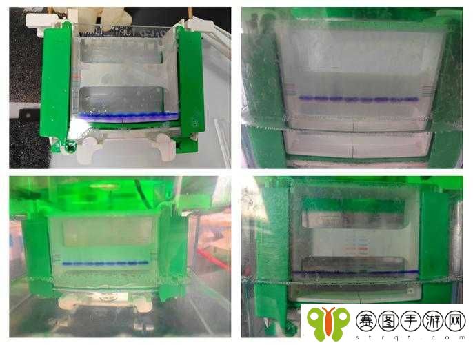 人马胶配方视频高清版详细解析及制作教程