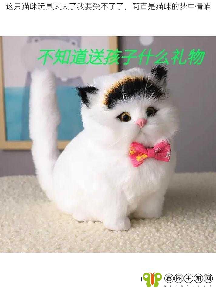 这只猫咪玩具太大了我要受不了了简直是猫咪的梦中情喵