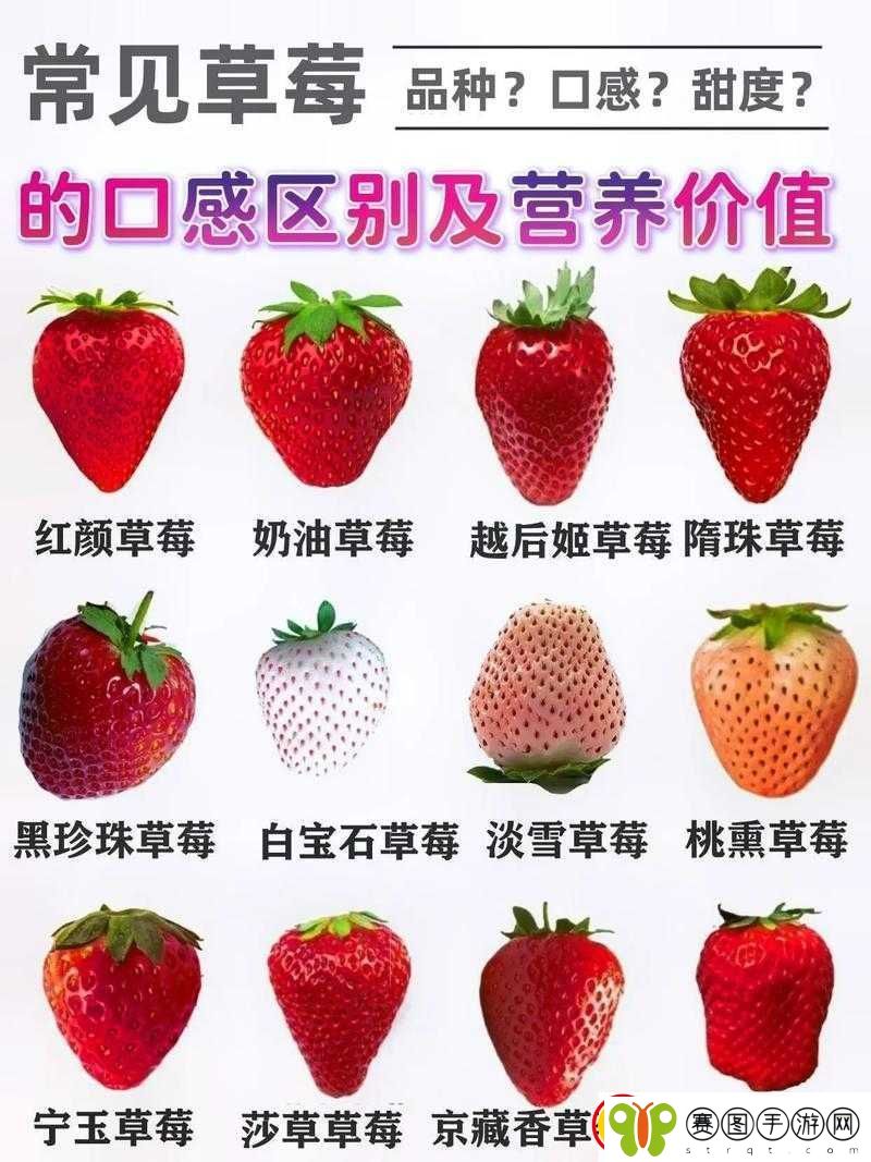 蜜丝婷大草莓与小草莓比较