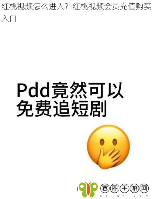 红桃视频怎么进入红桃视频会员充值购买入口