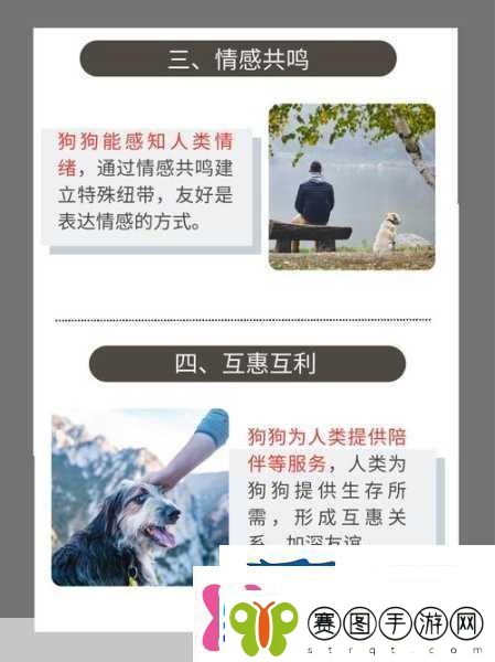 人物与动物交互人与狗的深厚情谊