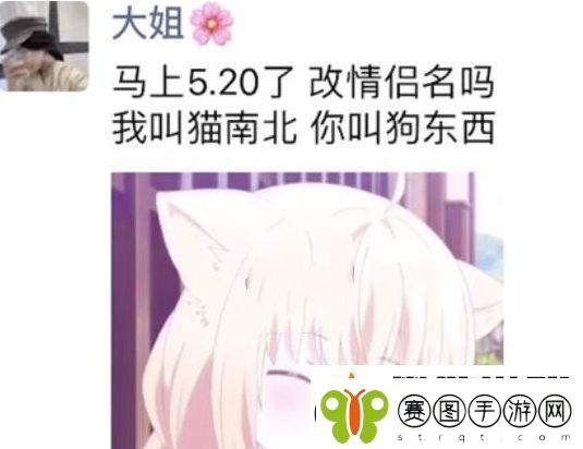 猫南北狗东西是什么梗络用语猫南北狗东西梗意思及出处分享