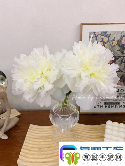 双阳插花芯