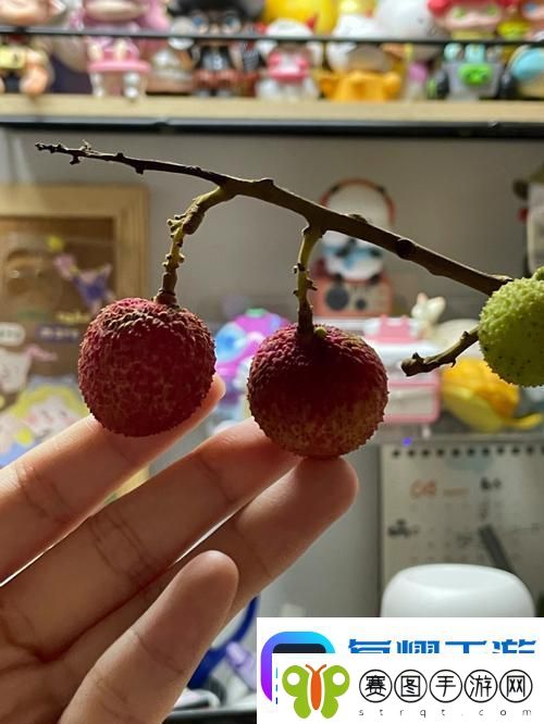 已经塞了八颗荔枝了窦寇儿