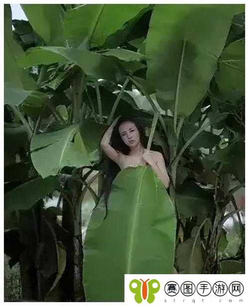 黄片背后的中国老太太