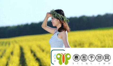 绿巨人聚合藏宝阁