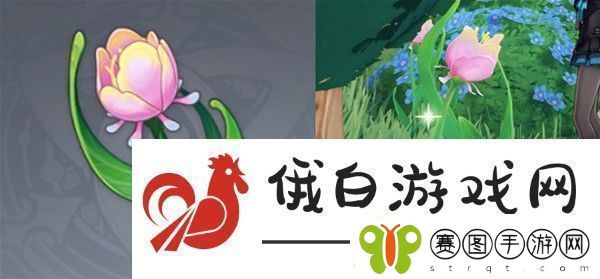 原神仆人阿蕾奇诺突破材料收集攻略