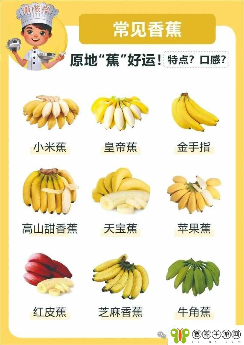 香蕉频蕉app