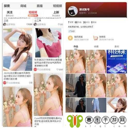 成品网站短源码搭建免费