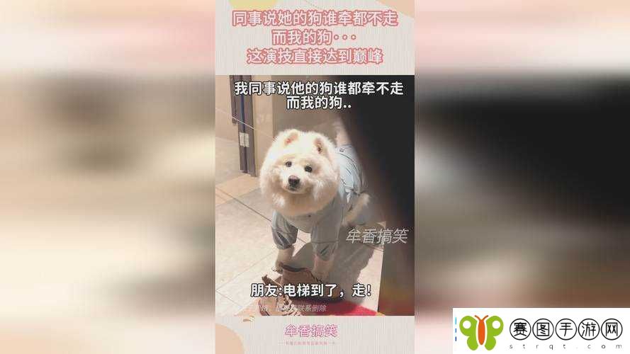 仙踪Cosmetology大陆免费下载